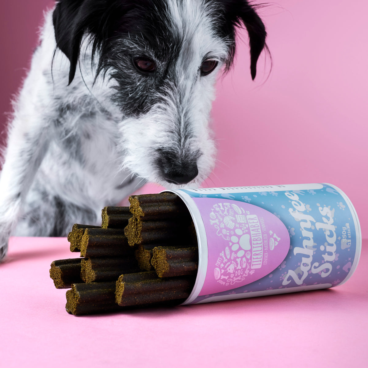 Dog examining Tierliebhaber Haut & Fell and Zahnpflege Sticks bundle for healthy skin and shiny coat.