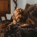 Bild in Galerie-Betrachter laden, Rundes handgemachtes Hundekissen aus langem Schaffell in Dunkelbraun.