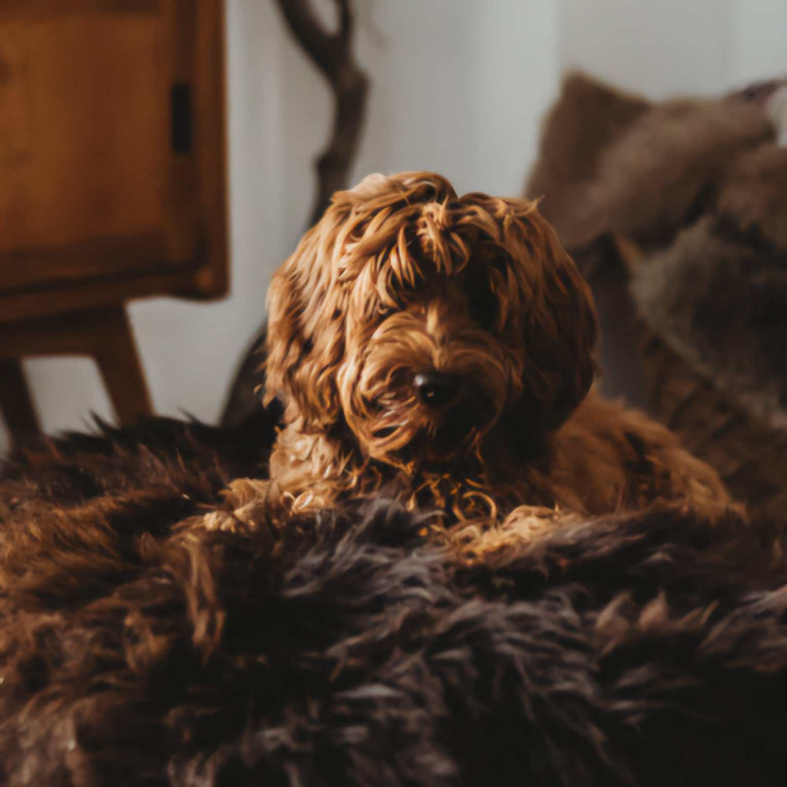 Rundes handgemachtes Hundekissen aus langem Schaffell in Dunkelbraun.