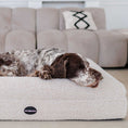 Load image into Gallery viewer, Dog bed FRED L with viscose foam mattress and washable bouclé cover