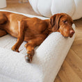 Bild in Galerie-Betrachter laden, Hundebett Barklay Größe L mit Bouclébezug