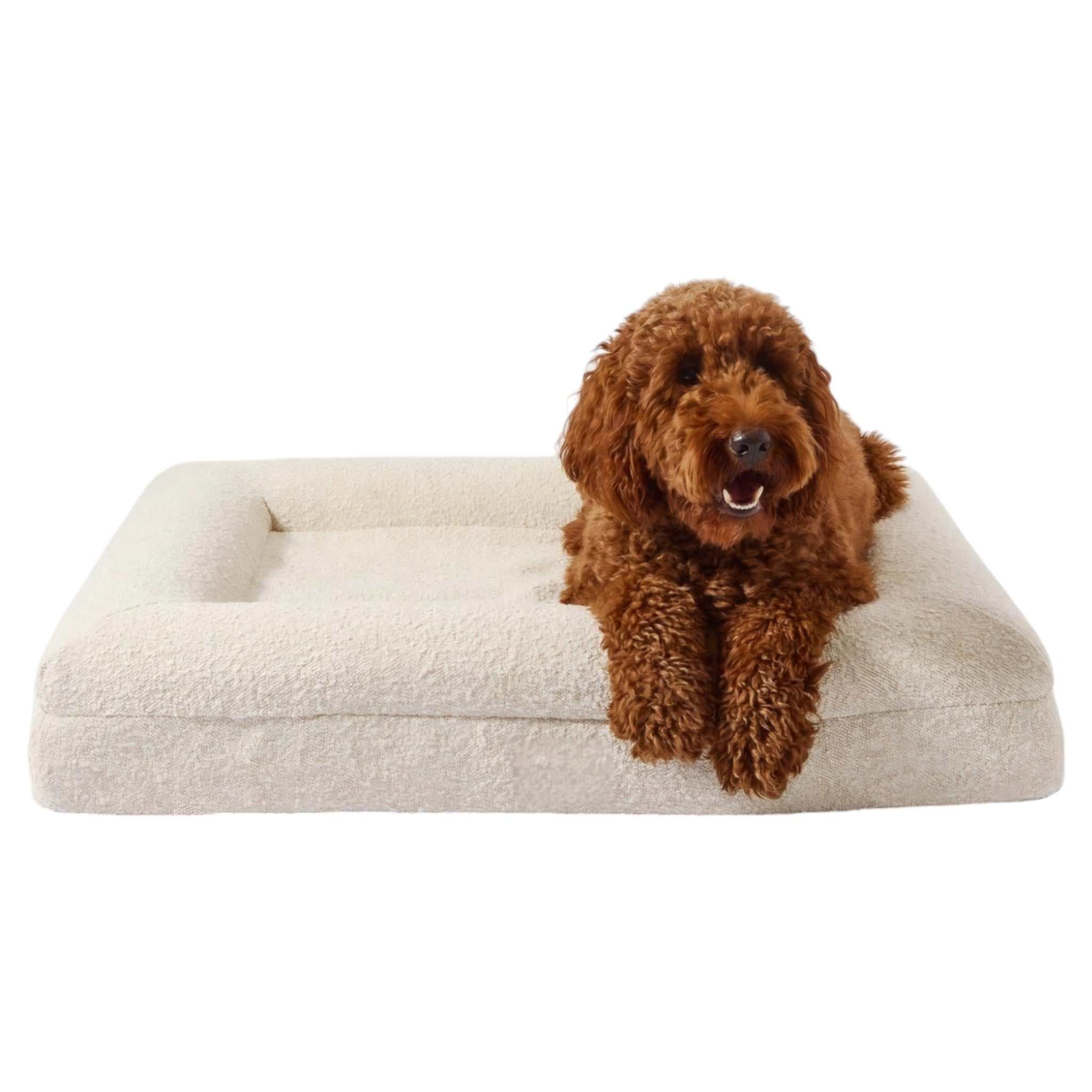 Hundebett Barklay mit Viskoseschaummatratze und waschbarem Bouclé Bezug mit Hund