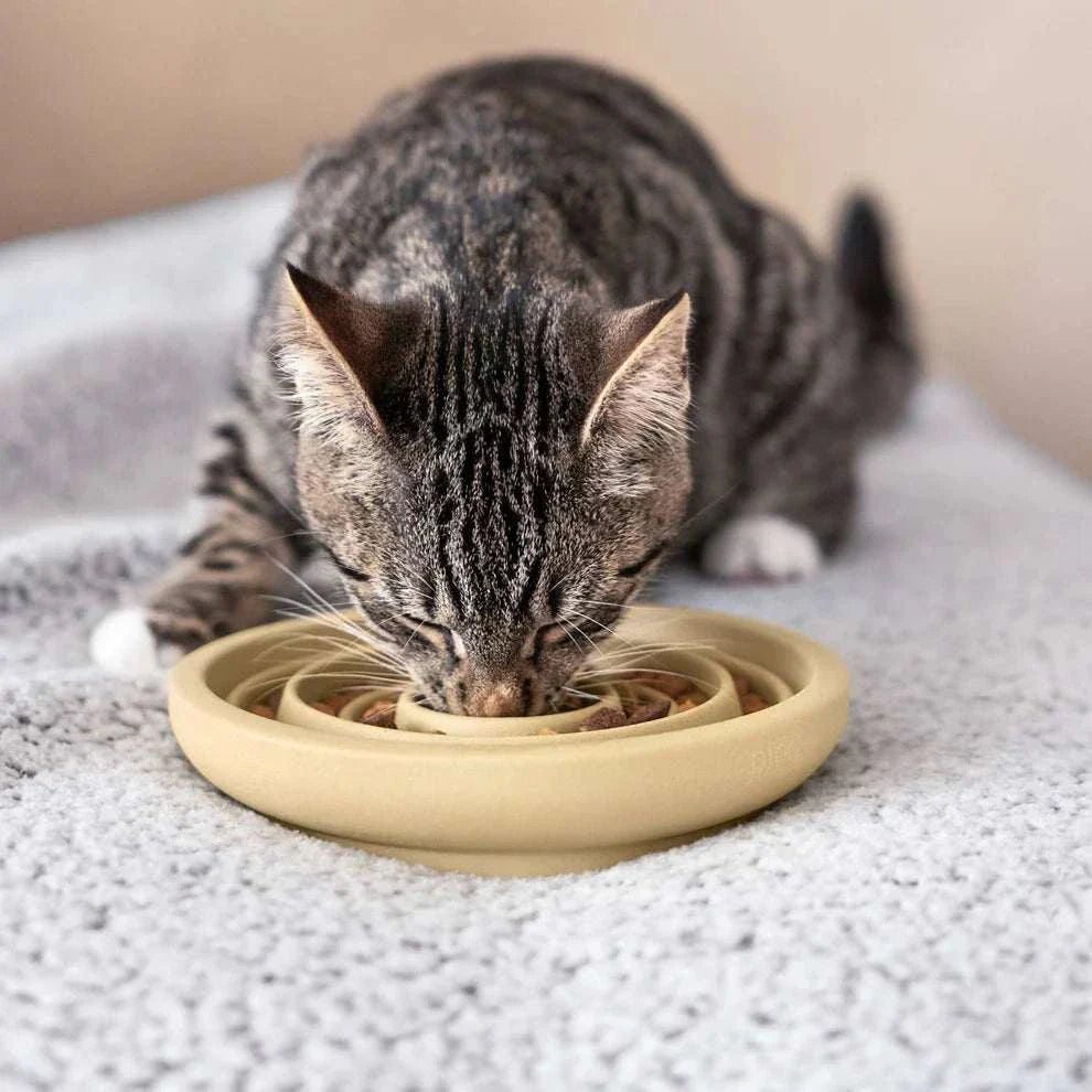 Cat eating from Fressnapf ANTISCHLING Design slow feeder bowl made of sustainable sand.