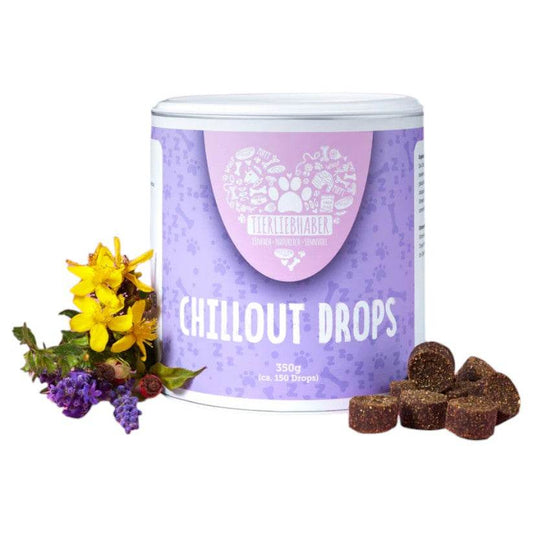 Natural Chillout Drops for Gentle Dog Relaxation and Stress Relief
