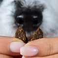 Bild in Galerie-Betrachter laden, Dog sniffing natural Chillout Drops for calming and relaxation.