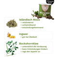 Bild in Galerie-Betrachter laden, Natural remedy drops for dogs, soothing stomach, aiding digestion, and reducing grass and stool eating habits.