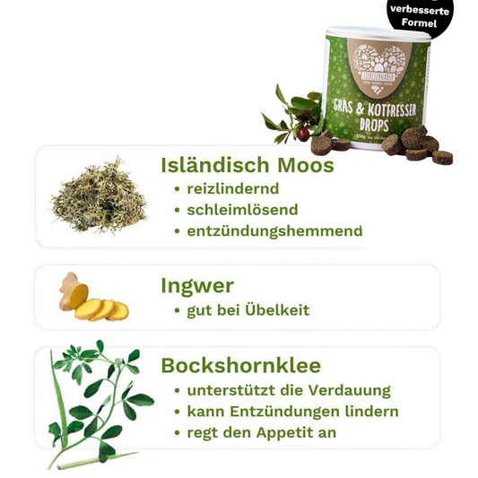 Natural remedy drops for dogs, soothing stomach, aiding digestion, and reducing grass and stool eating habits.