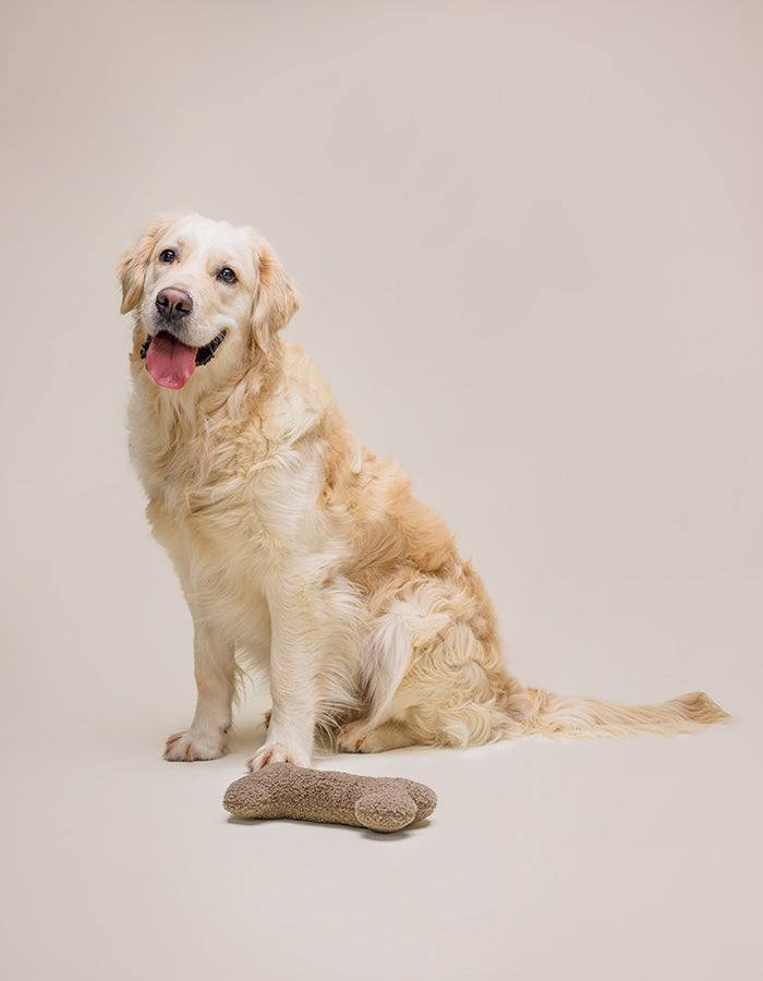 Spielknochen aus recycelten und super weichem Teddyplüsch Polyestermit Golden Retriever