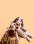 Bild in Galerie-Betrachter laden, Kuscheltier FOXI der Fuchs mit Knisterohren und robustem Oekotex Stoff mit Cocker Spaniel