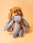 Bild in Galerie-Betrachter laden, Das Kuscheltier RUPERT der Hase mit Knisterohren und robustem Oekotexstoff mit niedlichem Hund