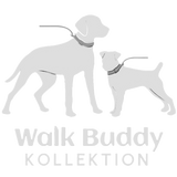 logo-banner-0