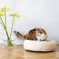 Bild in Galerie-Betrachter laden, Rundes handgemachtes Hundekissen mit Naturfüllung aus langem Schaffell mit Katze