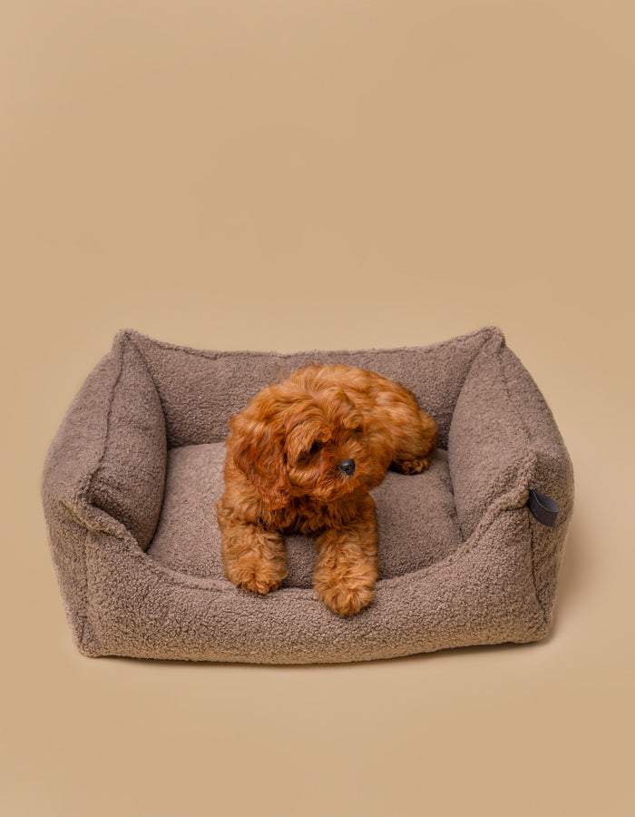 Hundebett TEDDY ist kuschelig und umweltfreundlich aus recycelten PET mit kleinem Hund