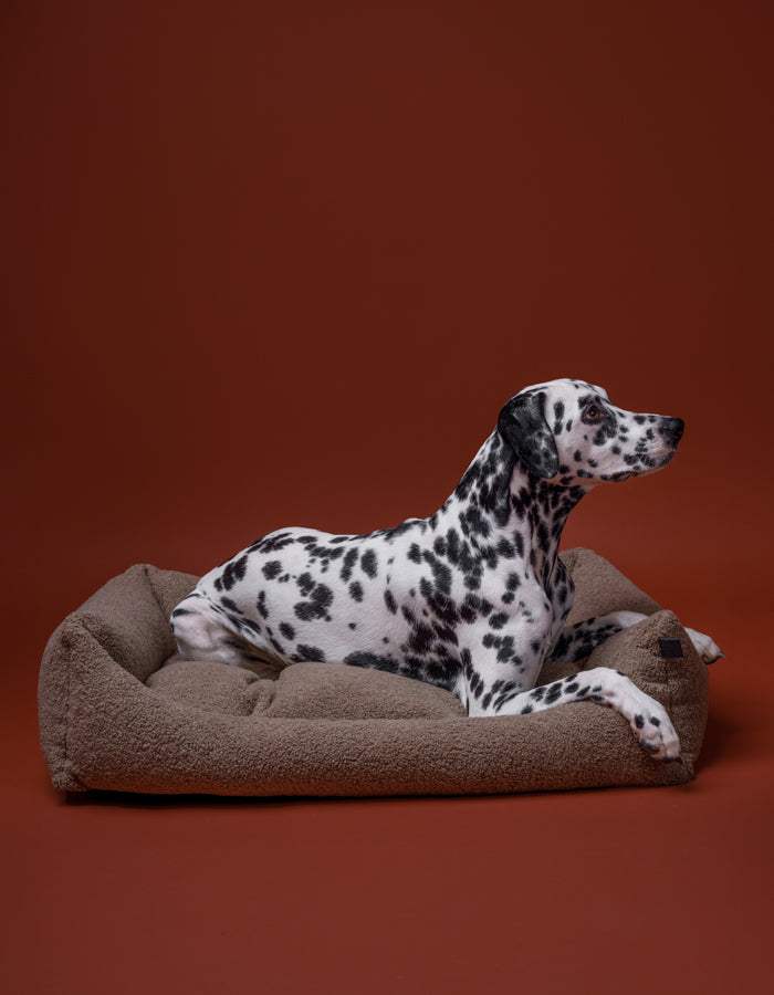 Hundebett TEDDY ist kuschelig und umweltfreundlich aus recycelten PET mit Dalmatiner