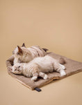 Bild in Galerie-Betrachter laden, Kuscheldecke MINKY gemütlich und umweltfreundlich aus recycelten PET mit Katzen auf Kuscheldecke