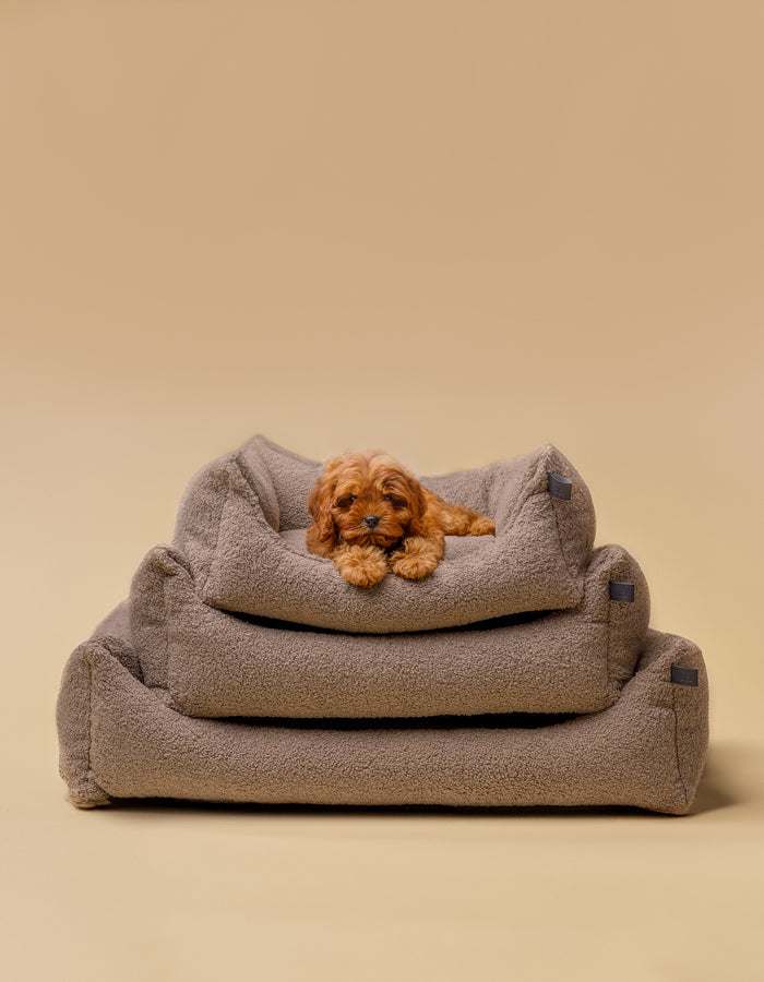 Hundebett TEDDY ist kuschelig und umweltfreundlich aus recycelten PET Artikelauswahl drei Größen mit kleinem Hund