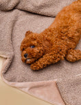Bild in Galerie-Betrachter laden, Kuscheldecke MINKY gemütlich und umweltfreundlich aus recycelten PET mit kuscheligem Hund