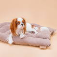 Bild in Galerie-Betrachter laden, Hundematte Pebbles samtweich als Matte