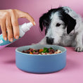 Load image into Gallery viewer, Dog eating with a bowl of food, featuring Frühlings Bundle for digestive support.