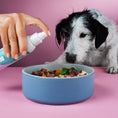 Load image into Gallery viewer, Dog eating with a bowl of food, featuring Frühlings Bundle for digestive support.