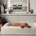 Load image into Gallery viewer, Hundebett Barklay mit Viskoschaummatratze und waschbarem Bouclébezug
