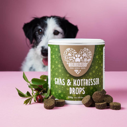 Gras und Kotfresser Drops VF gegen Sodbrennen für Hunde, natürliche Inhaltsstoffe, beruhigt Magen.