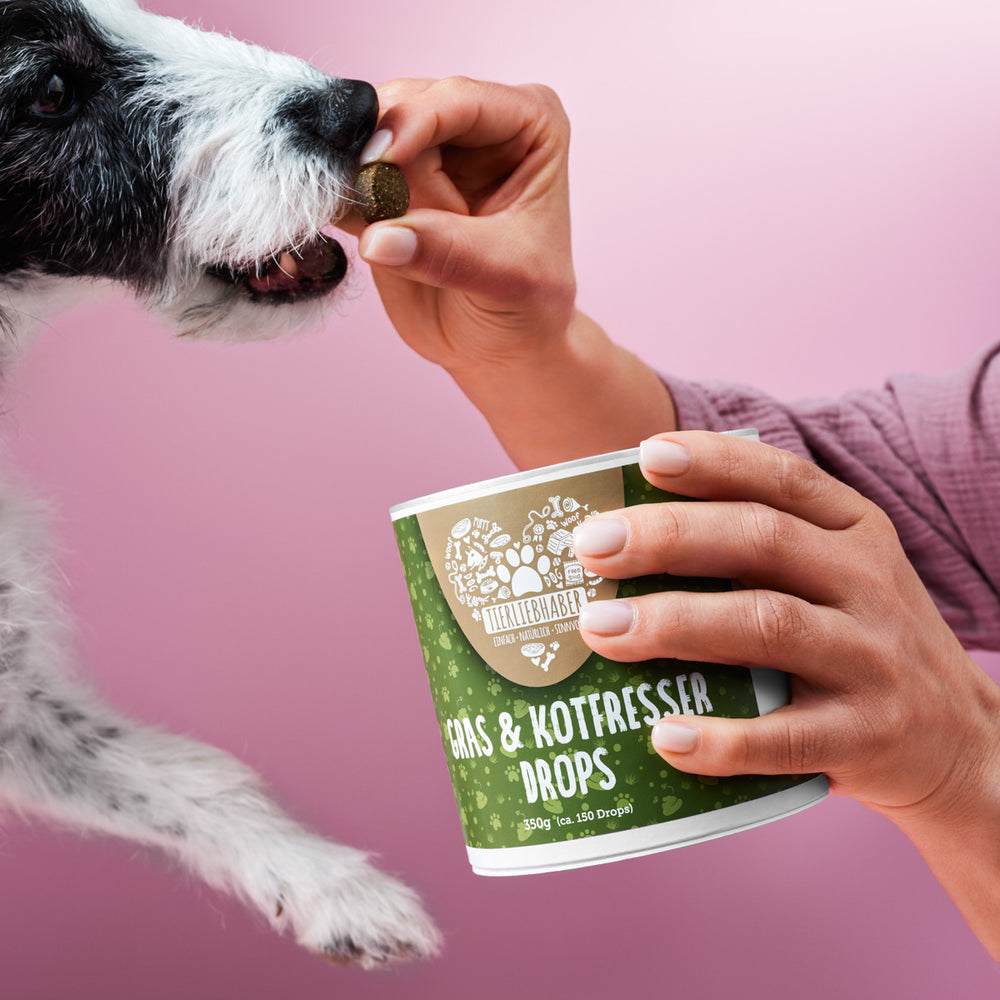Dog eating Gras und Kotfresser Drops for soothing an upset stomach and preventing grass eating.
