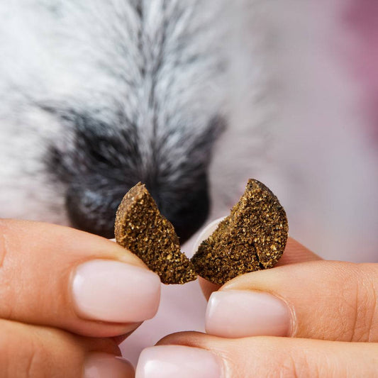 Natural dog supplement drops for grass and stool eating, relieves heartburn.
