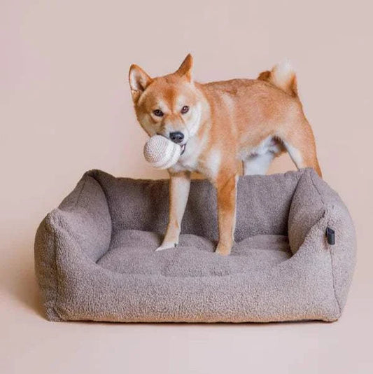 Hund spielt mit gehäkeltem Ballspielzeug aus Bio-Baumwolle auf Hundebett.