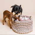 Bild in Galerie-Betrachter laden, Spielzeugkorb aus nachhaltig recycelter Baumwollkordel creme und beige mit spielenden Hunden
