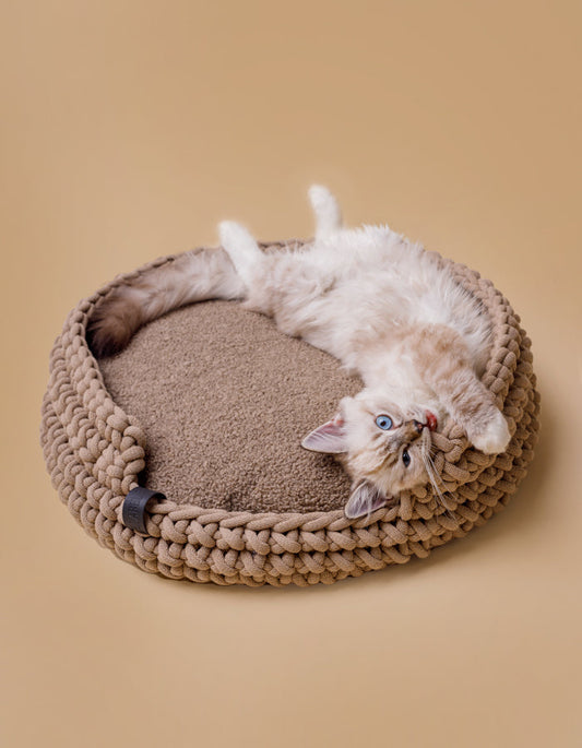 Korb aus nachhaltig recycelter Baumwollkordel inkl Kissen beige Katze schlafen