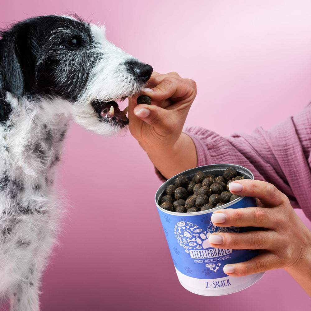 Natural dog snack for woodland walks, 100% pflanzenbasiert, Z-Snack by Tierliebhaber.