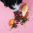 Bild in Galerie-Betrachter laden, Natural Chillout Drops for calming dogs with valerian, St. John's wort, and lavender.