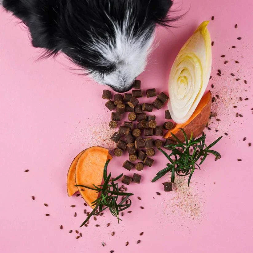 Natural Chillout Drops for calming dogs with valerian, St. John's wort, and lavender.
