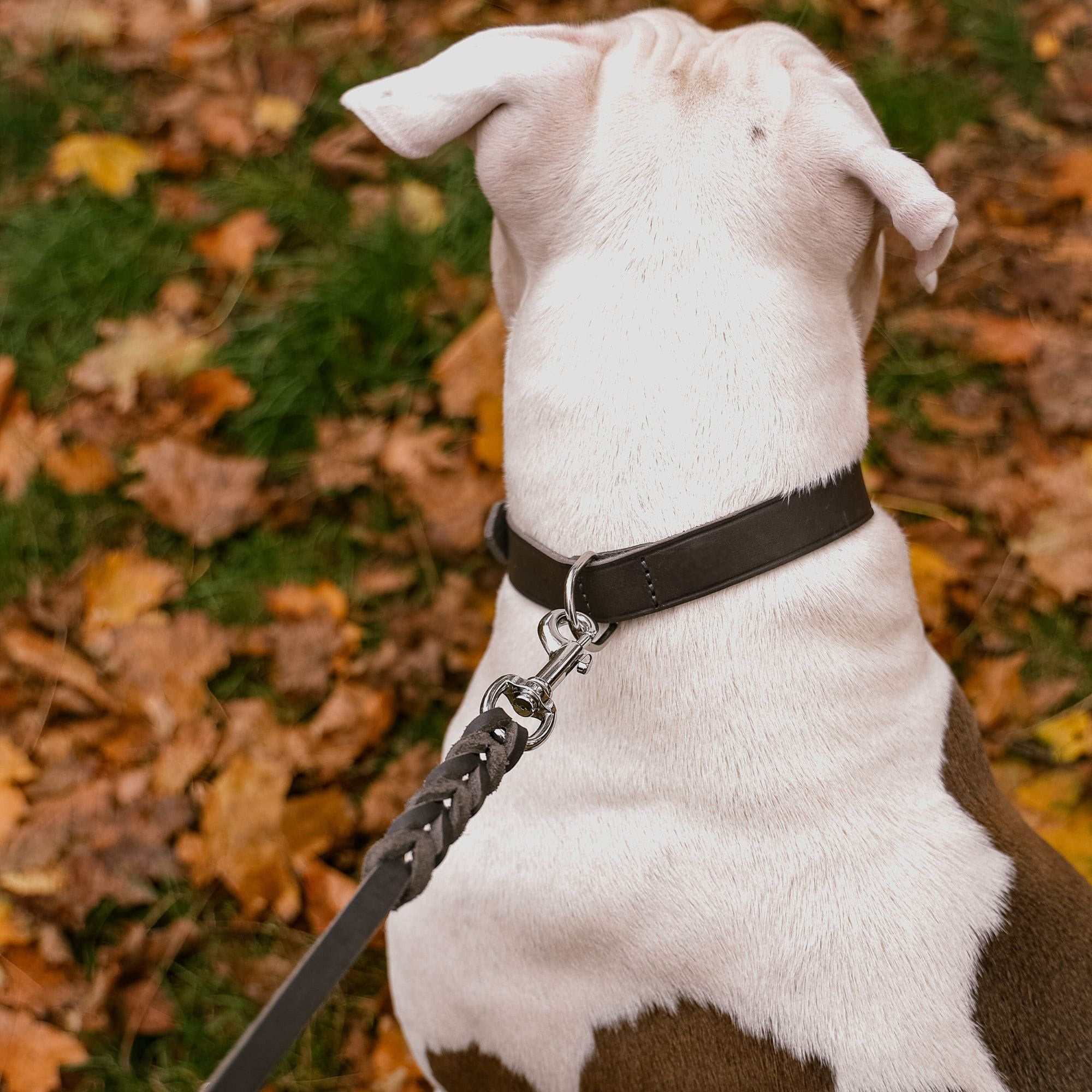 Soft leather dog leash with handle and braided elements, 180cm, chrome clip, durable and stylish.