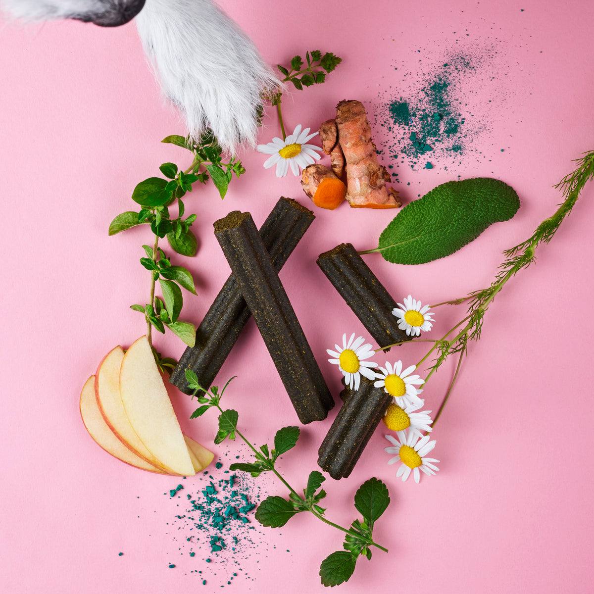 Dog treats for healthy skin and coat with natural ingredients on a pink background.