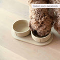 Load image into Gallery viewer, Sustainable sand dog bowl from the "PINO" collection, made from eco-friendly Polysand, hand-crafted in Belgium.
