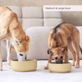 Load image into Gallery viewer, Sustainable sand dog bowls in medium and large sizes with eco-friendly design.
