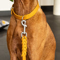 Load image into Gallery viewer, Soft leather dog leash with hand loop and braided elements.
