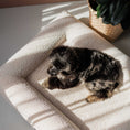 Load image into Gallery viewer, Dog bed FRED S with viscose foam mattress and washable bouclé cover
