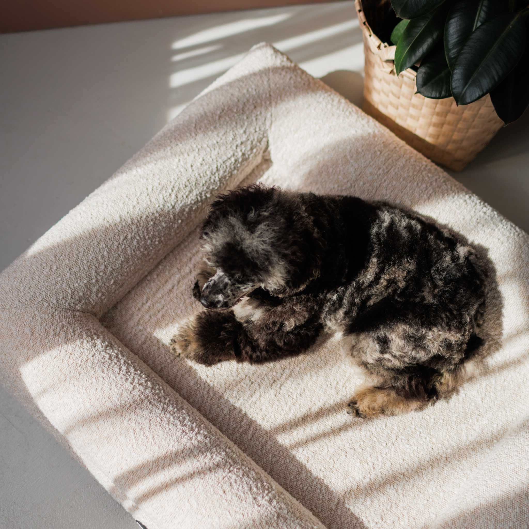 Dog bed FRED S with viscose foam mattress and washable bouclé cover