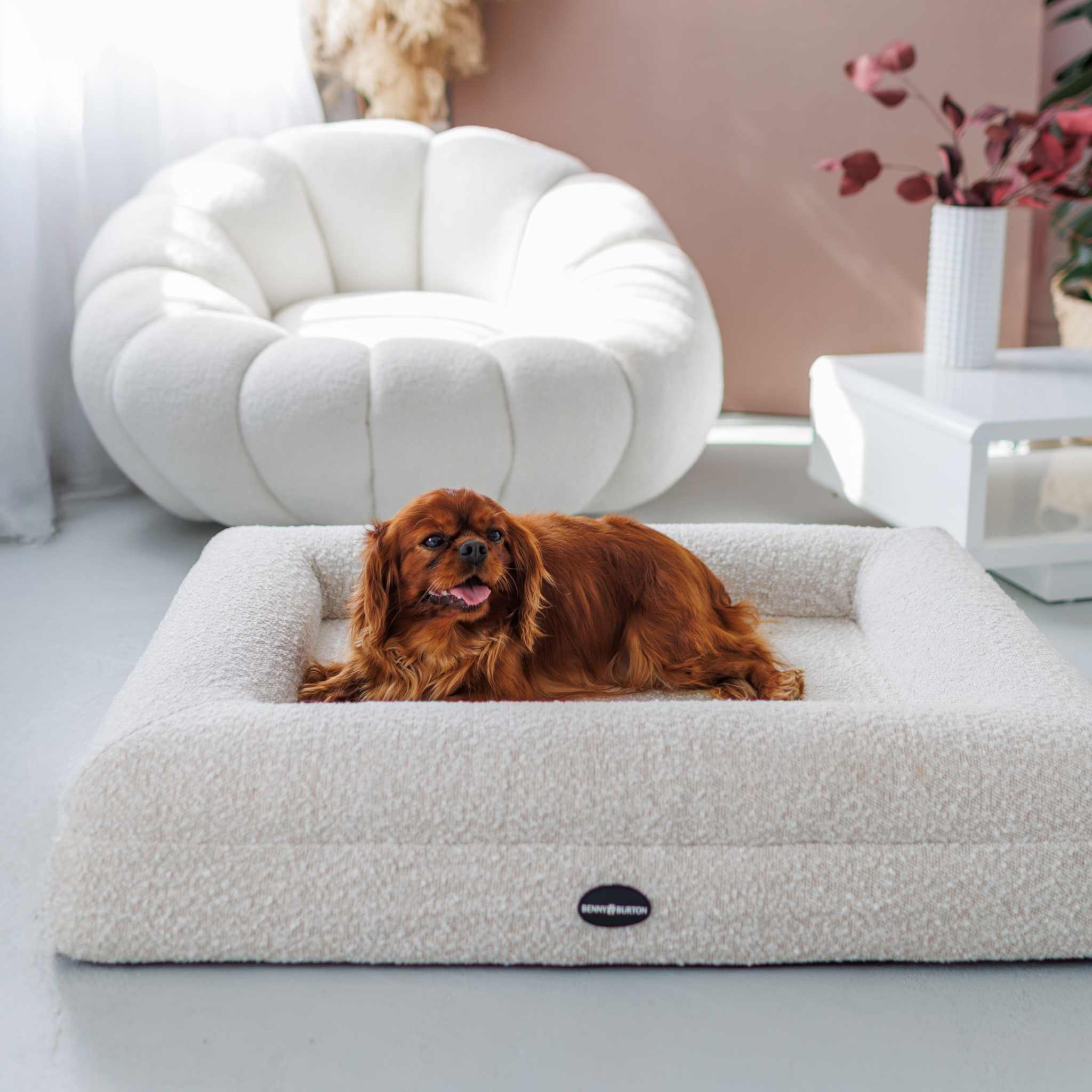 Dog bed FRED S with viscose foam mattress and washable bouclé cover
