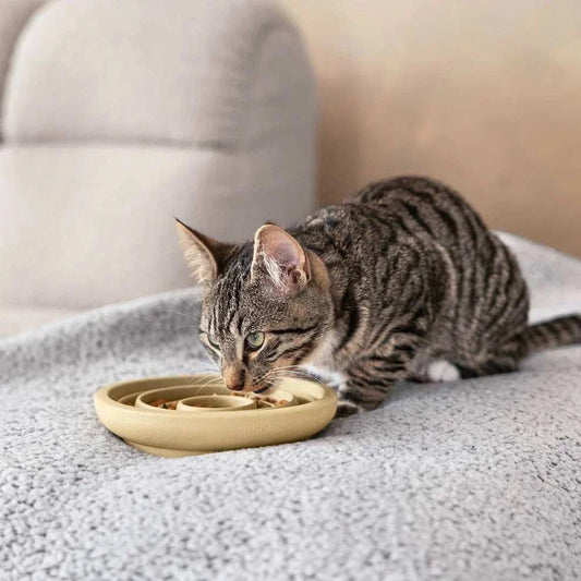 Cat eating from Fressnapf ANTISCHLING Design sustainable slow feeder bowl made from sand.