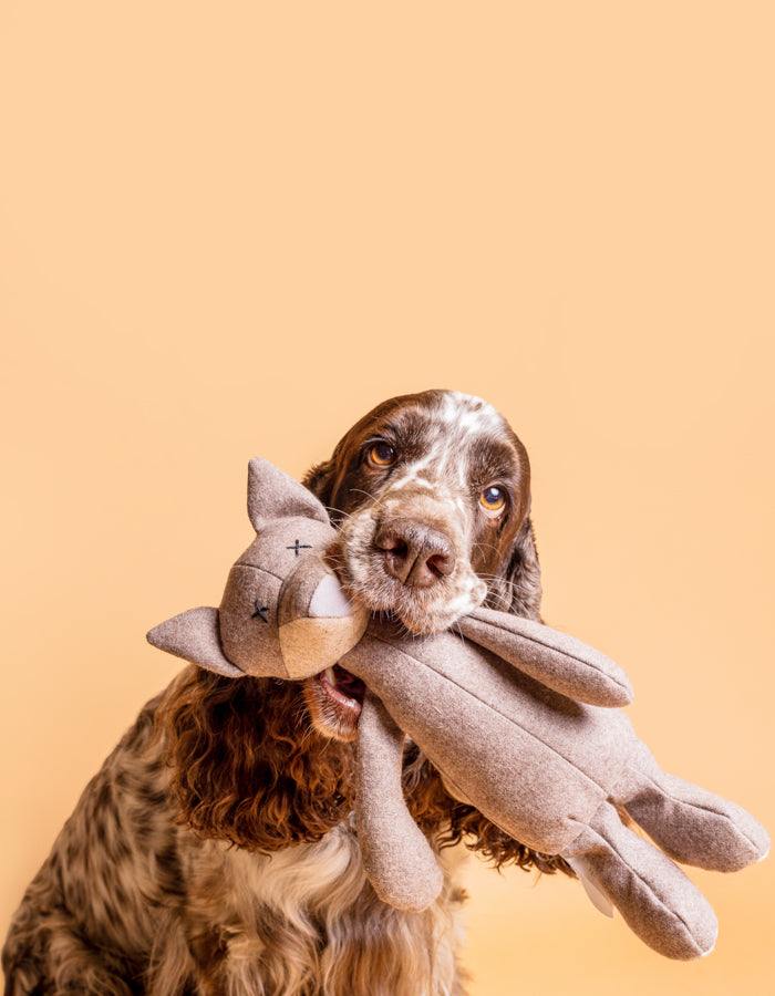 Kuscheltier FOXI der Fuchs mit Knisterohren und robustem Oekotex Stoff mit Cocker Spaniel