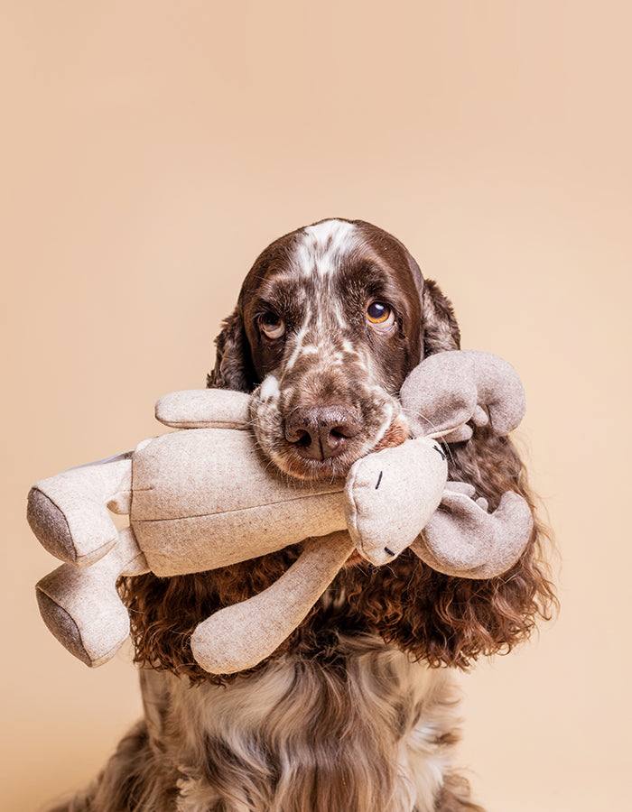 Kuscheltier BOB der Elch mit Knisterohren und robustem Oekotex Stoff mit Cocker Spaniel