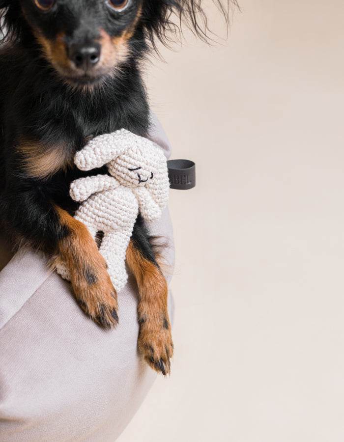 Mini Häkel Hase aus weicher Bio-Baumwolle für die ganz kleine Fellnase mit klienem Hund