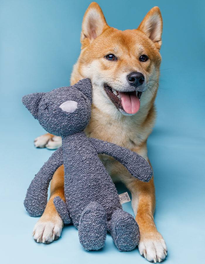 Kuscheltier CARLO die Katze mit Knisterohren und robustem Boucle Stoff