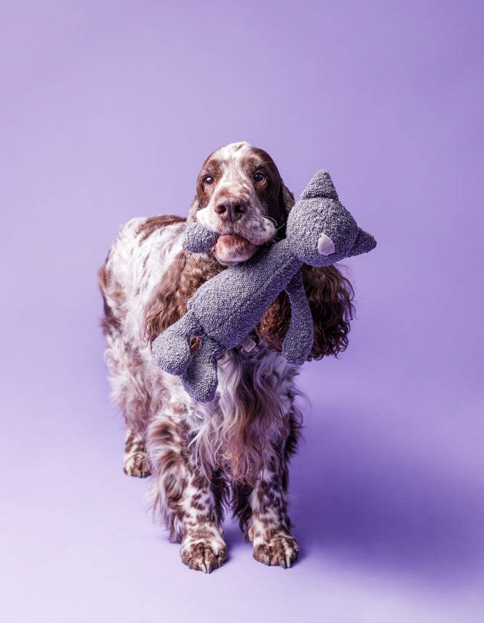 Kuscheltier CARLO die Katze mit Knisterohren und robustem Boucle Stoff mit Hund