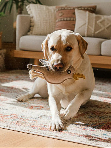 Hundespielzeug Möwe aus Leder