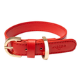 Load image into Gallery viewer, Hundehalsband APFEL-GOLD mit Premium veganem Apfelleder von Alecoo in rot
